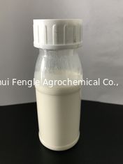 Nicosulfuron 80g / L OD liquid Chất lỏng màu trắng sữa Killer Thuốc diệt cỏ lá rộng cho ngô