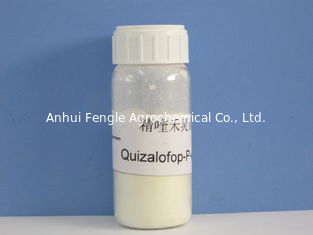 Quizalofop-P- Ethyl95% TC, 98% TC, Thuốc trừ sâu hóa học đậu tương / bông cho cỏ dại hàng năm, bột trắng