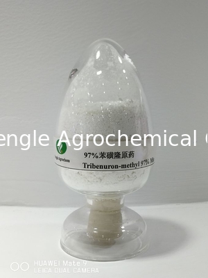 Thuốc trừ sâu nông dược Tribenuron-Methyl White power 97% TC