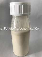 Pyraclostrobin 25% SC, Thuốc diệt nấm, 200L, 500ml, 1L ect.Milky Liquid, Hiệu suất cao đối với Nấm sương mai và Bệnh bạc lá