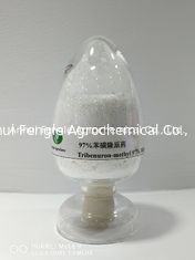 95% Tc Tribenuron Methyl Bột diệt cỏ CAS No.101200-48-0