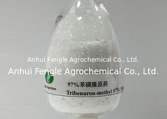 Số CAS 101200-48-0 Thuốc diệt cỏ 95% TC Tribenuron-Methyl