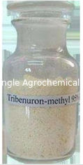 Thuốc diệt cỏ chọn lọc Tribenuron Methyl Thuốc diệt cỏ 95% Tc để kiểm soát cỏ dại lá rộng
