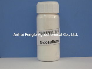 Thuốc diệt cỏ Nicosulfuron 97% TC CAS No 111991-0904
