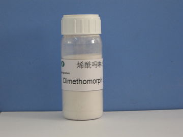 Dimethomorph 50% WP, Thuốc trừ nấm, Thuốc trừ sâu hóa chất nông nghiệp, CAS 110488-70-5, Bệnh sương mai của dưa chuột / cây ăn quả