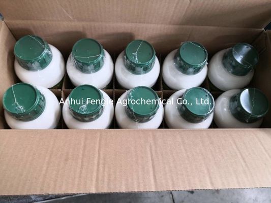 48477-71-8 Thuốc trừ sâu kiểm soát dịch hại Spirodiclofen 24% Sc