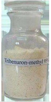 Thuốc diệt cỏ chọn lọc Tribenuron Methyl Thuốc diệt cỏ 95% Tc để kiểm soát cỏ dại lá rộng