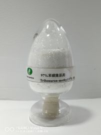 Tribenuron-methyl95% TC, Thuốc diệt cỏ nông nghiệp, Kiểm soát cỏ dại lá rộng